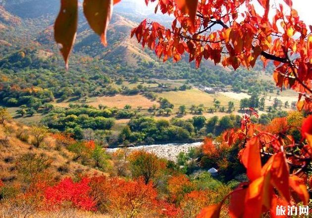 2019年9月份适合去哪里旅游 2019年9月份适合去哪里旅游