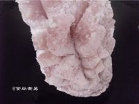 【手工美食】糖醋鱼排的做法步骤6