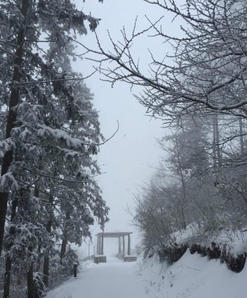 新消息！明后天黑龙江迎强降雪 局地积雪深度或超10厘米