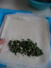 荠菜豆腐春卷的做法步骤12