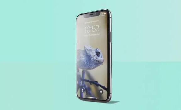iPhone11系列出现屏幕发绿是怎么回事 苹果回应iPhone屏幕发绿
