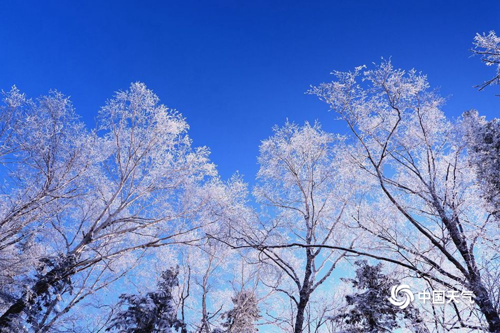 黑龙江第一峰现雾凇景观 堪比仙境