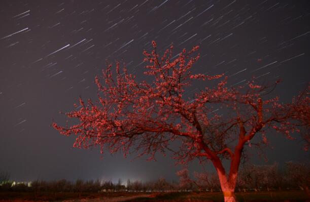 2020年12月14日双子座流星雨几点开始 今年双子座流星雨极大时间点