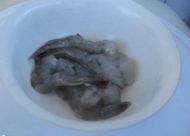 减肥美容佳品 水晶冬瓜虾仁的做法步骤2