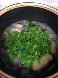 山泉松茸清汤的做法步骤5