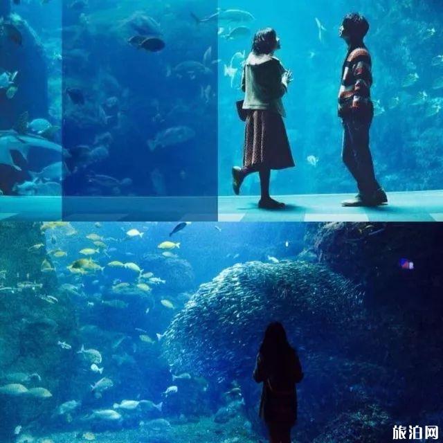 七夕去哪里玩比较好 江之岛有什么好玩的 七夕去哪里玩比较好 江之岛有什么好玩的