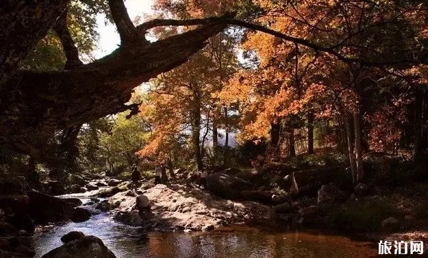福建龙栖山有着怎样的风景
