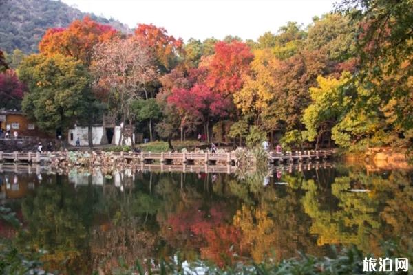 2019苏州天平山枫叶最佳观赏时间+地点
