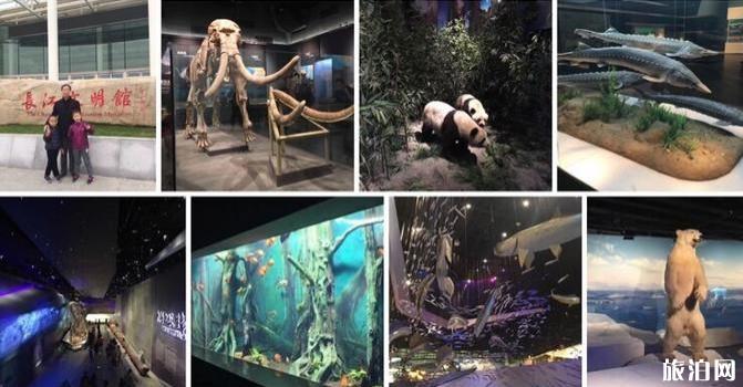 武汉有哪些博物馆值得一去