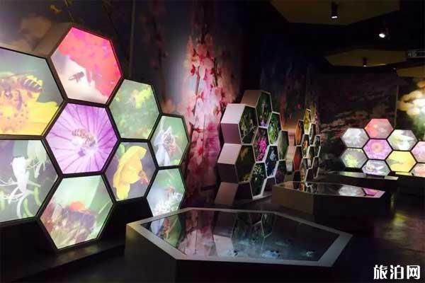 中国蜜蜂博物馆旅游攻略+地址+交通