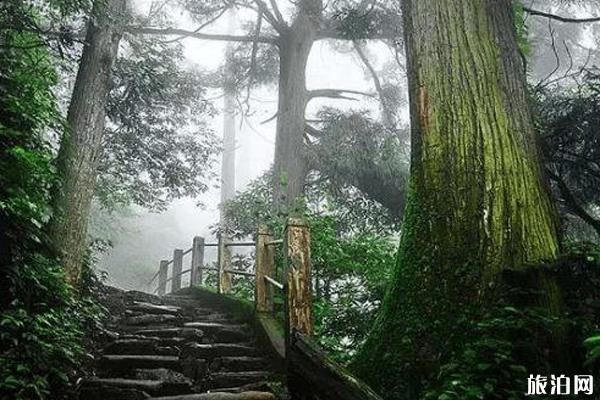 杭州避暑胜地有哪些