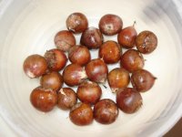 腊八粥的做法步骤7