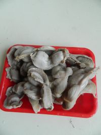 卤鸡肫的做法步骤3