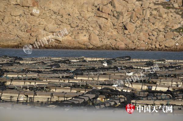 福建大风最多的地方如何每年养出10亿粒鲍鱼？