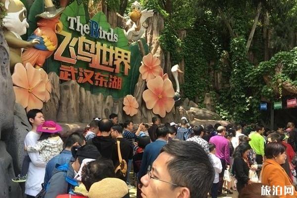 武汉东湖飞鸟世界游玩攻略 东湖飞鸟世界怎么样