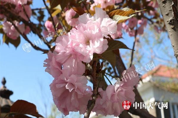 2018041910441678F15A5A7731F1BFC5FC83233C16583F_副本.jpg