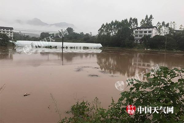重庆今起迎较强降雨 或致河流上涨低洼地带注意防洪