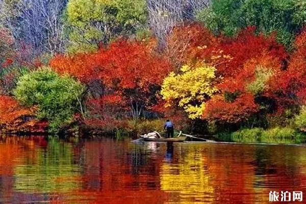 秋天采摘的地点推荐 秋天采摘的地点推荐