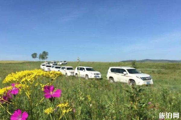 呼伦贝尔自驾和包车哪种好 呼伦贝尔自驾和包车哪种好