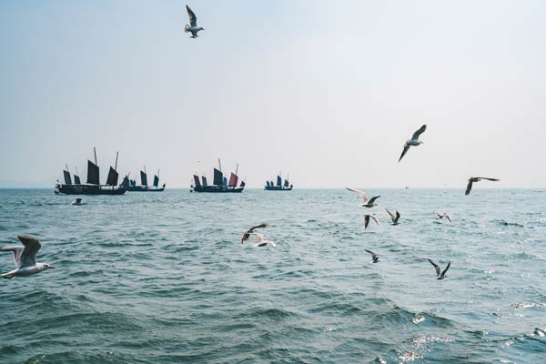 蠡园和鼋头渚哪个好玩 无锡蠡园到鼋头渚有多远