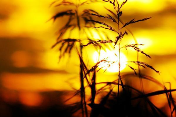 中秋节杭州周边旅游景点推荐 中秋节杭州周边旅游景点推荐