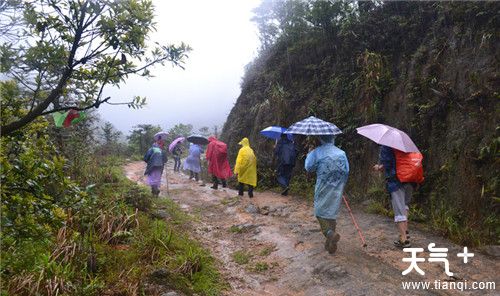 旅游遇到大雨怎么办 外出旅游如何应对雨天