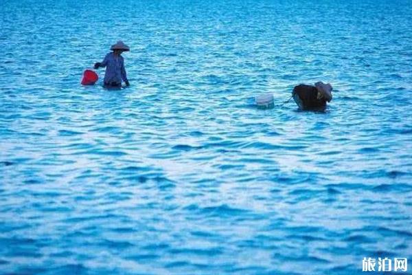 2019潭门赶海节时间+地点+交通+活动介绍