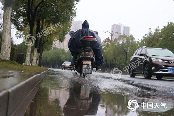 QQ图片20190305110808_副本.jpg