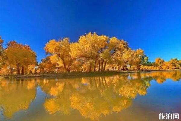额济纳旗自由行三日游线路