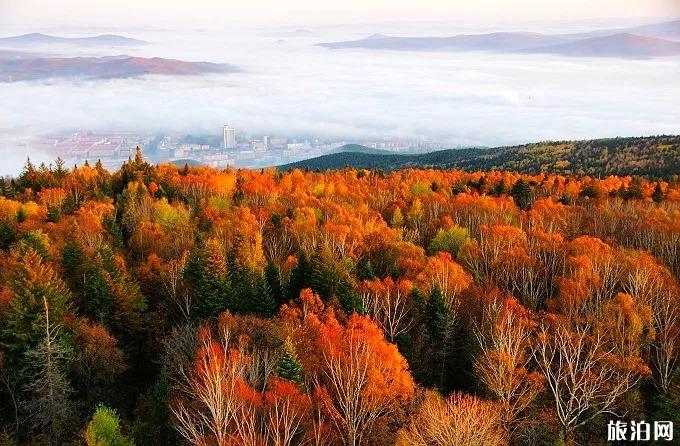 黑龙江秋季赏景线路攻略 黑龙江秋季赏景线路攻略