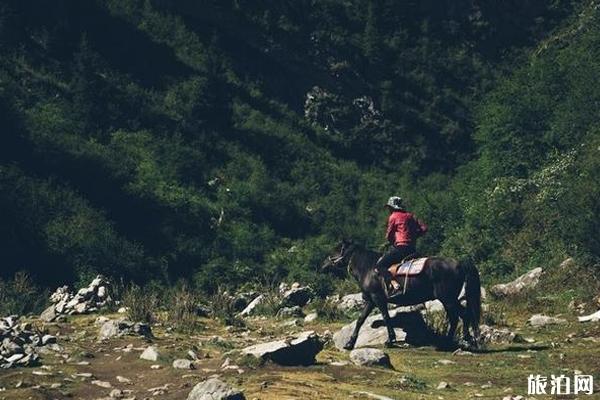 甘南七日游路线攻略