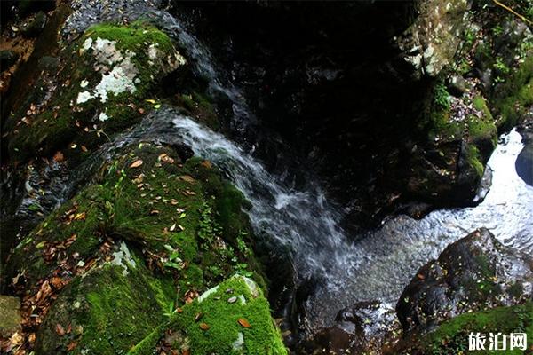 石台牯牛降和祁门牯牛降有什么区别，哪个更值得去