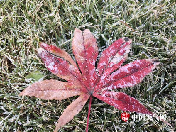 浙江各地集体陷入“冰点” 未来一周晴冷当道