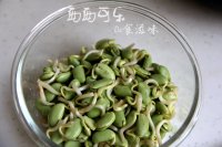 黑豆芽炒粉条的做法步骤2