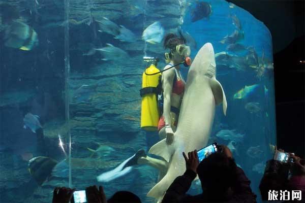 2019北海海洋之窗门票多少+表演时间+开放时间 2019北海海洋之窗门票多少+表演时间+开放时间