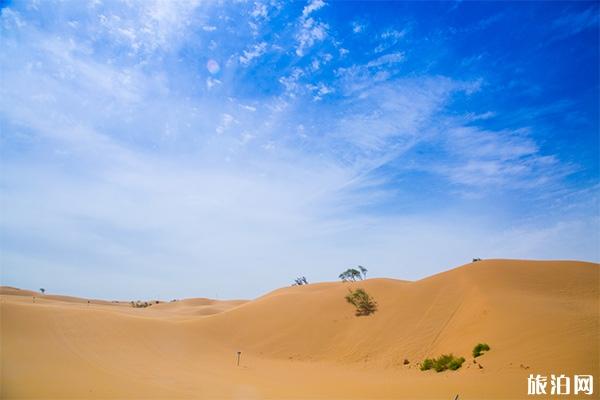 宁夏银川沙湖和沙坡头哪个好玩