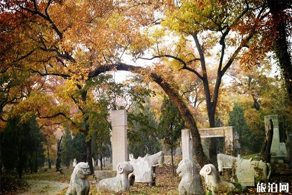 曲阜一日游精华景点攻略