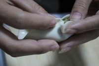 猪肉韭菜饺子的做法步骤15