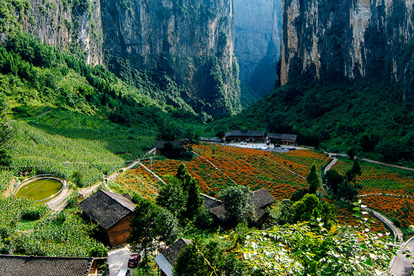 武隆天生三桥门票多少钱 武隆天生三桥门票价格