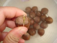 腊八粥的做法步骤9