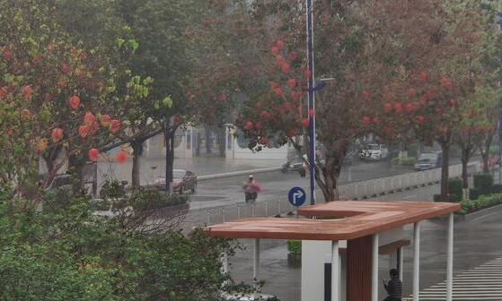 福建多地发布雷电橙色预警 未来三天阵雨或雷阵雨为主