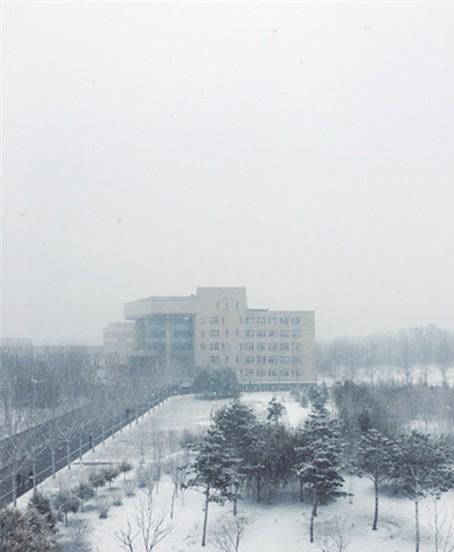 注意啦！冷空气“速冻”内蒙古局地降温将超10℃ 呼伦贝尔遭大雪