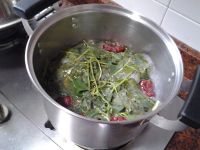 鱼腥草煲瘦肉的做法步骤7