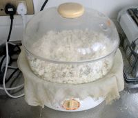 炒不烂子的做法步骤5