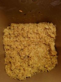 自制肉松的做法步骤8