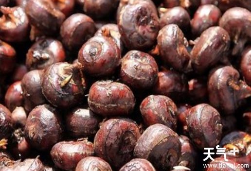 山东济宁汶上县知名特产有哪些 可以带回家的汶上特产