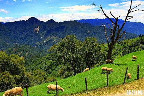 南投清境农场有什么好玩的