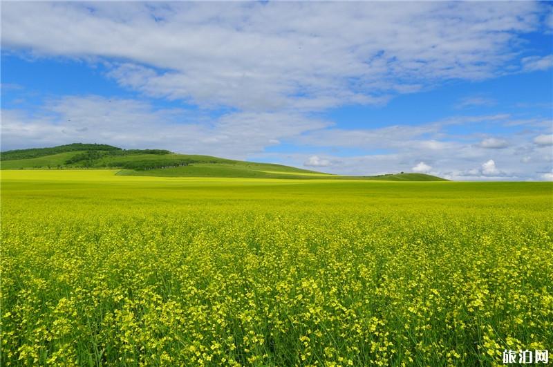 大兴安岭有什么特色玩法
