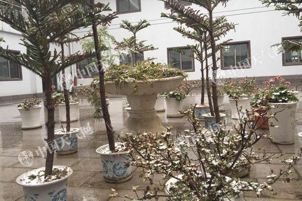 春运开端贵州连遭低温雨雪 今年春运天气总体给力