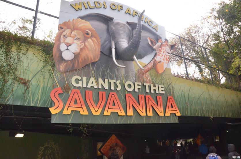 秋天去达拉斯有什么好玩的 秋天去达拉斯有什么好玩的